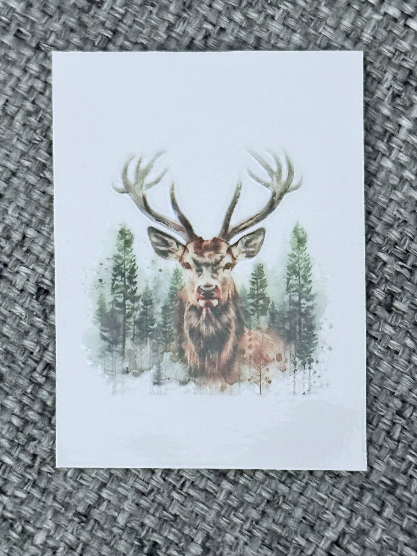 Wild Elk in the Pines UV DTF Sticker – Nature & Outdoors Cup Decal
