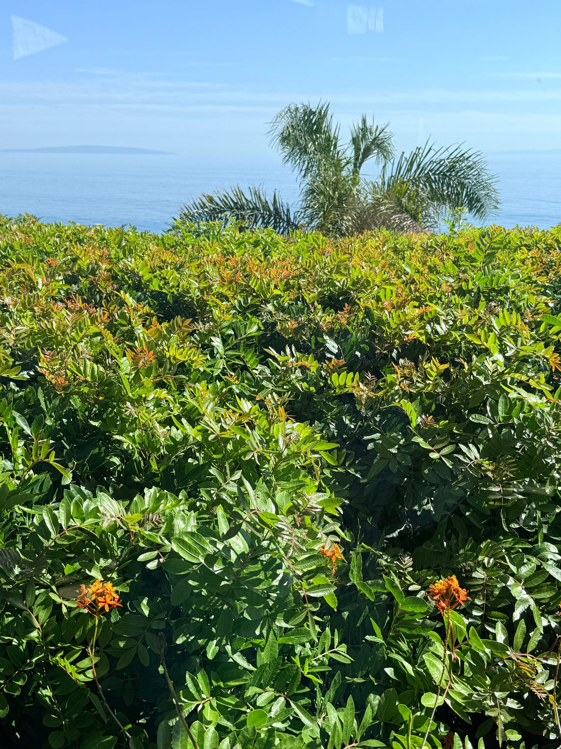 Why Beading Brings Happiness: The Emotional Power of Crafting with Four Seasons of Happiness